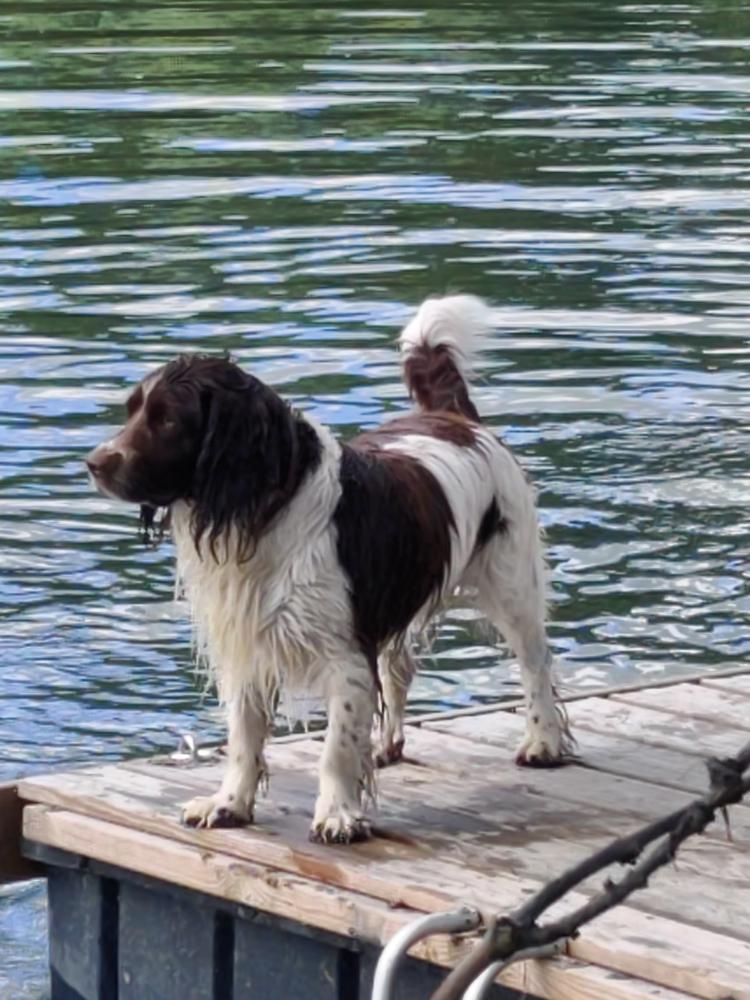 Le Val d'Andé - Photo 11